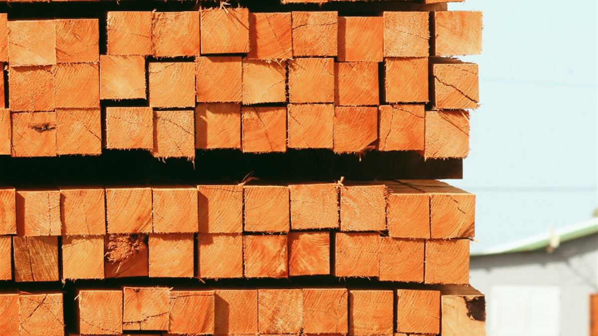 Madera aserrada de eucalipto